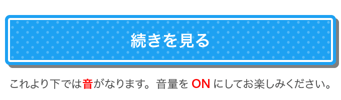 続きを見る