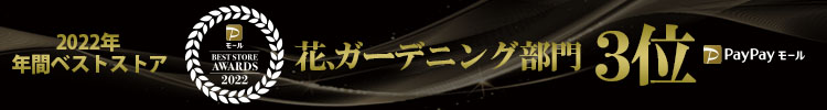 年間ベストストア2022
