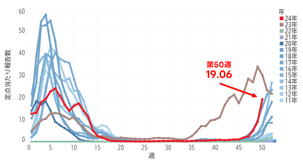 この画像は、2011年から2024年までのインフルエンザ定点当たり報告数を示すグラフです。縦軸は報告数、横軸は週数を表しています。2024年の第50週は19.06という高い値を示し、急激な感染拡大が見られます。