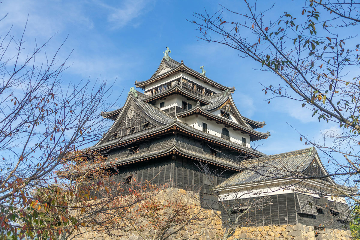 青空の下、歴史的な城が木々に囲まれて立っている様子が見られます。