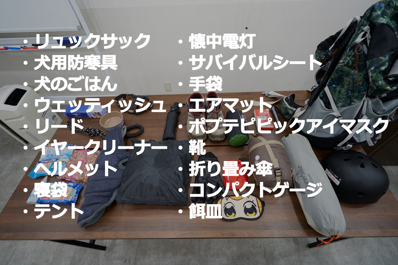 キャンプやアウトドア活動に必要なアイテムがテーブルに並べられています。リュックサックや犬用防寒具、寝袋、テントなどが含まれています。