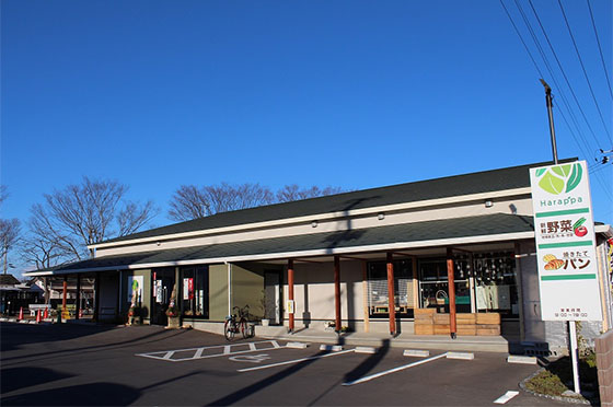 写真:Harappaの風景