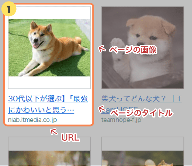 画像検索(がぞうけんさく)結果(けっか)のスクリーンショット