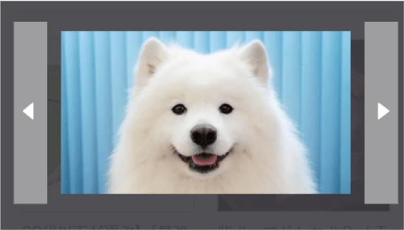 画像クリック時の拡大表示例。画像サイズやページ情報が詳細に表示されている