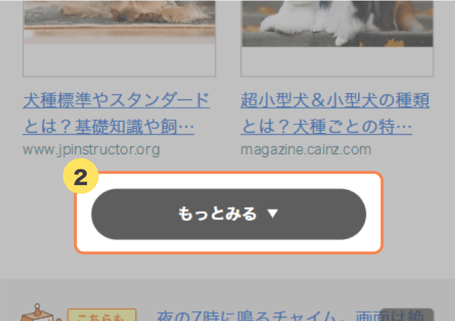 画像検索結果の「もっと見る」ボタンの位置を示すスクリーンショット