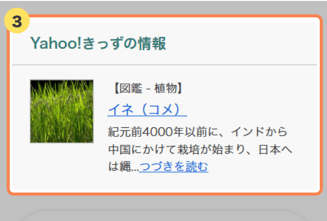 画像検索結果の「もっと見る」ボタンの位置を示すスクリーンショット