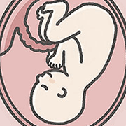 子宮の中の赤ちゃんの育ち方