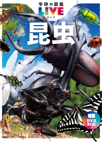 学研(がっけん)の図鑑(ずかん)LIVE 昆虫(こんちゅう)新版(しんばん)