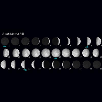 月の満ち欠け 月齢 天文現象 星空 Yahoo きっず図鑑