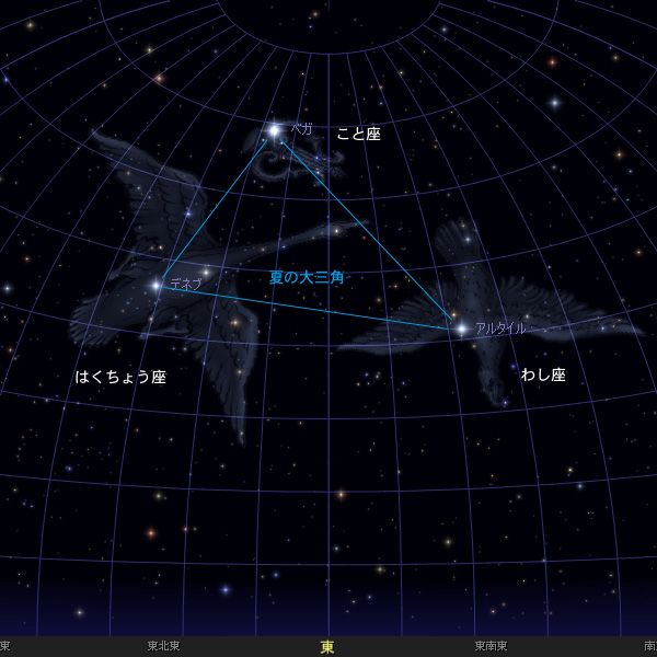 夏の大三角 だいさんかく 夏の星座 星空 Y きっず図鑑