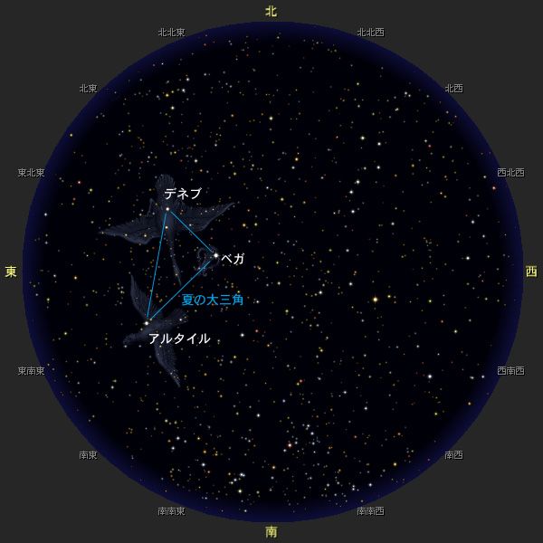 夏の大三角 だいさんかく 夏の星座 星空 Y きっず図鑑