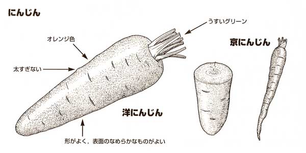 にんじん 野菜 きのこ くだもの 食材 Y きっず図鑑