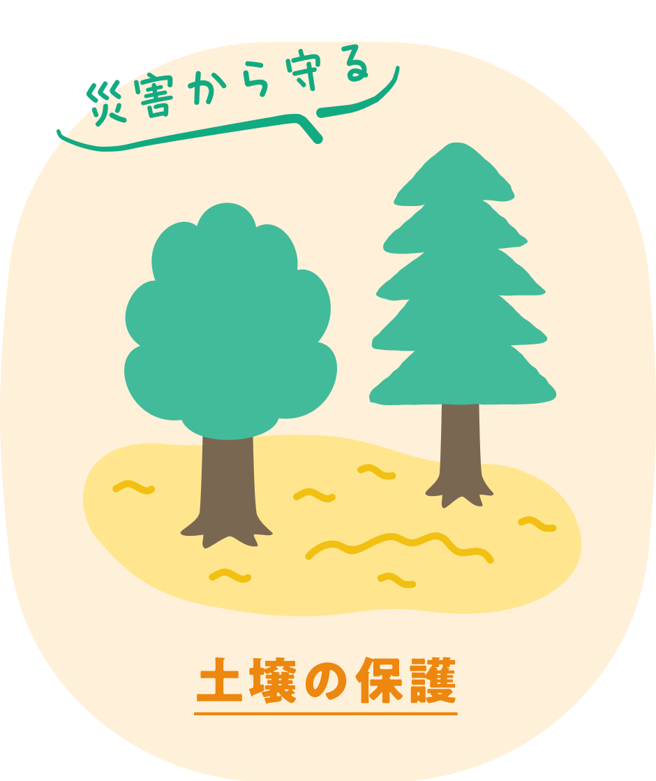 土壌の保護