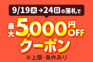 ΦΦ ESCO 【未使用品】ラッシングベルト二個セット EA982B-18 目立った