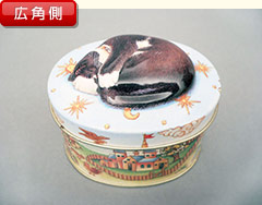 広角側