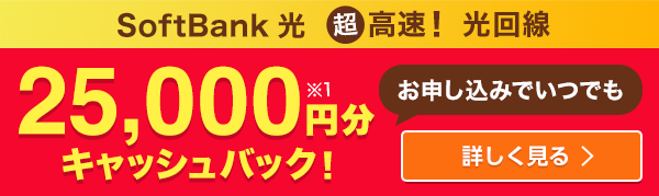 SoftBank 光 超高速！　光回線 お申し込みでいつでも 25,000円分キャッシュバック！　（普通為替） ※1 詳しく見る