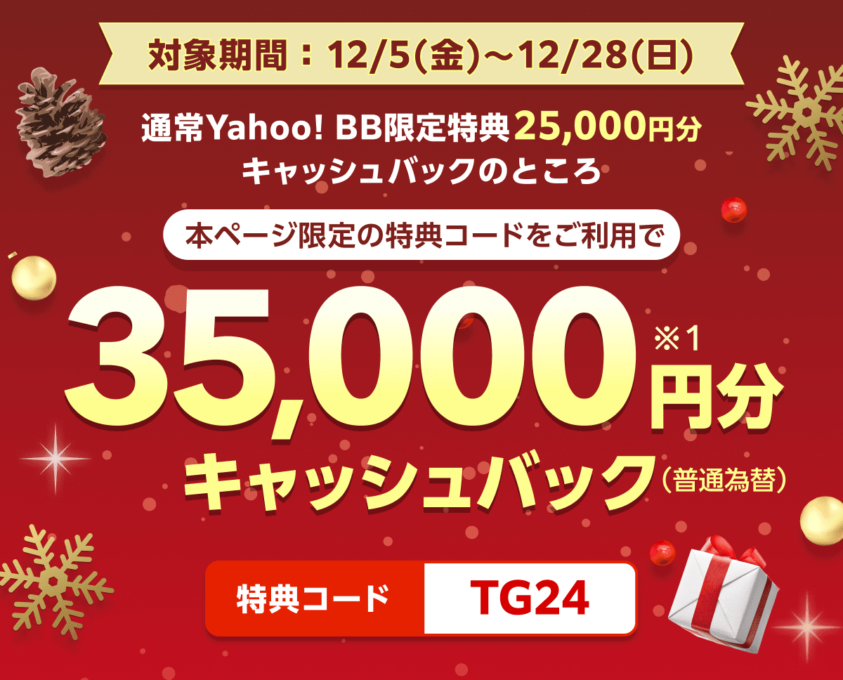 対象期間12月5日金曜日から12月28日日曜日まで 通常Yahoo! BB限定特典25,000円分キャッシュバックのところ、本ページ限定の特典コードをご利用で、35,000円分（※1）キャッシュバック（普通為替）　特典コード：TG24