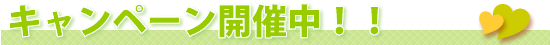 キャンペーン実施中