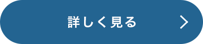 詳しく見る