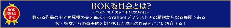 BOK委員会とは