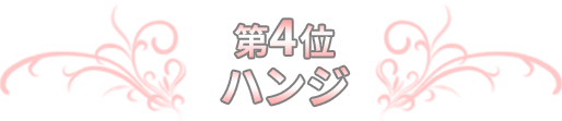 第4位 ハンジ