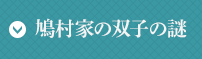 鳩村家の双子の謎