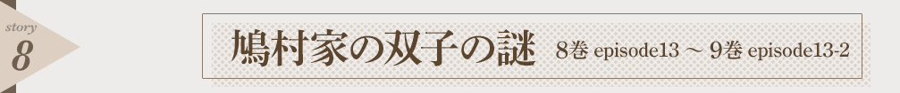 鳩村家の双子の謎