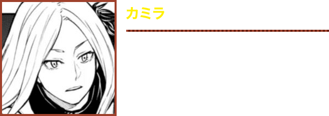 【カミラ】　冒険者パーティー「夜蜻蛉（ナキリベラ）」の団長であり迷宮都市フィールブロン埼京線市の1人。美しい銀髪の持ち主。