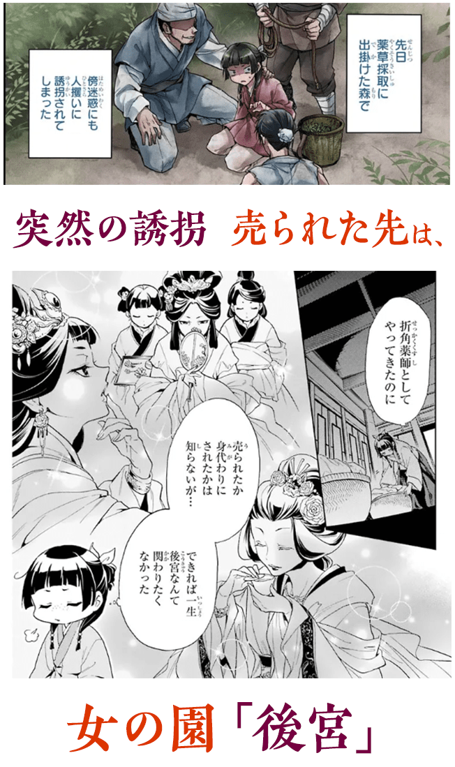 突然の誘拐 売られた先は、女の園「後宮」