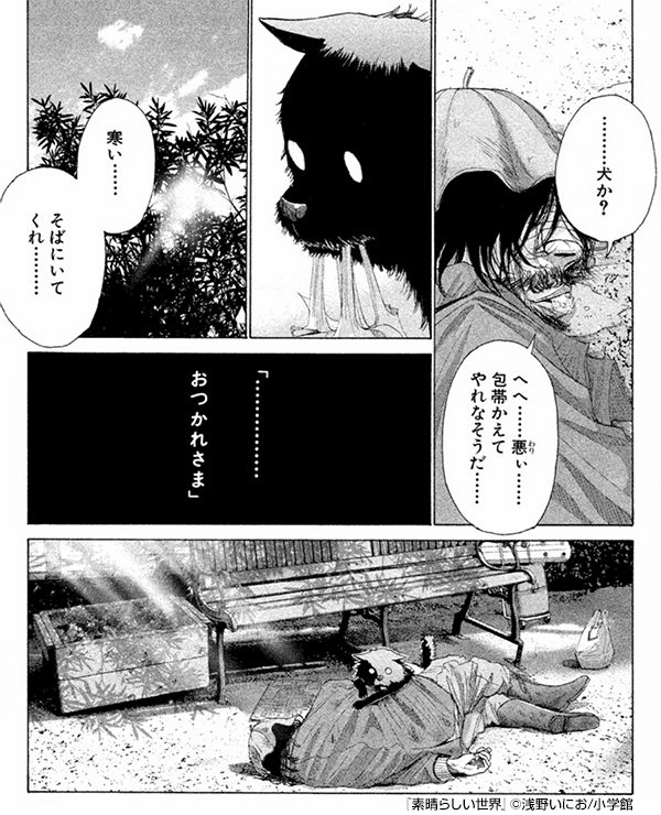 浅野いにお 全覧 著者略歴 無料まんが 試し読みが豊富 Ebookjapan まんが 漫画 電子書籍をお 得に買うなら 無料で読むならebookjapan