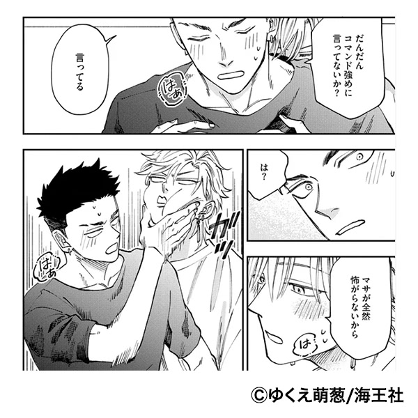 「ためしにコマンド言ってみた」コマ画像