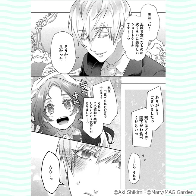 『伯爵令嬢と騎士公爵のおかしな関係 THE COMIC①』コマ画像