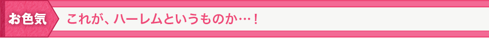 お色気 これが、ハーレムというものか…！