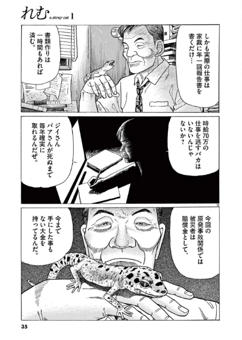 れむ a stray cat