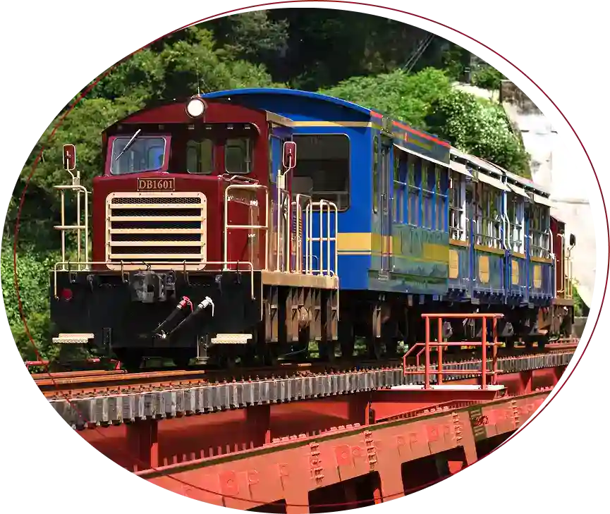 南阿蘇鉄道トロッコ列車ゆうすげ号の写真