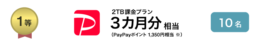 1等 PayPayポイント 1350円相当 10名