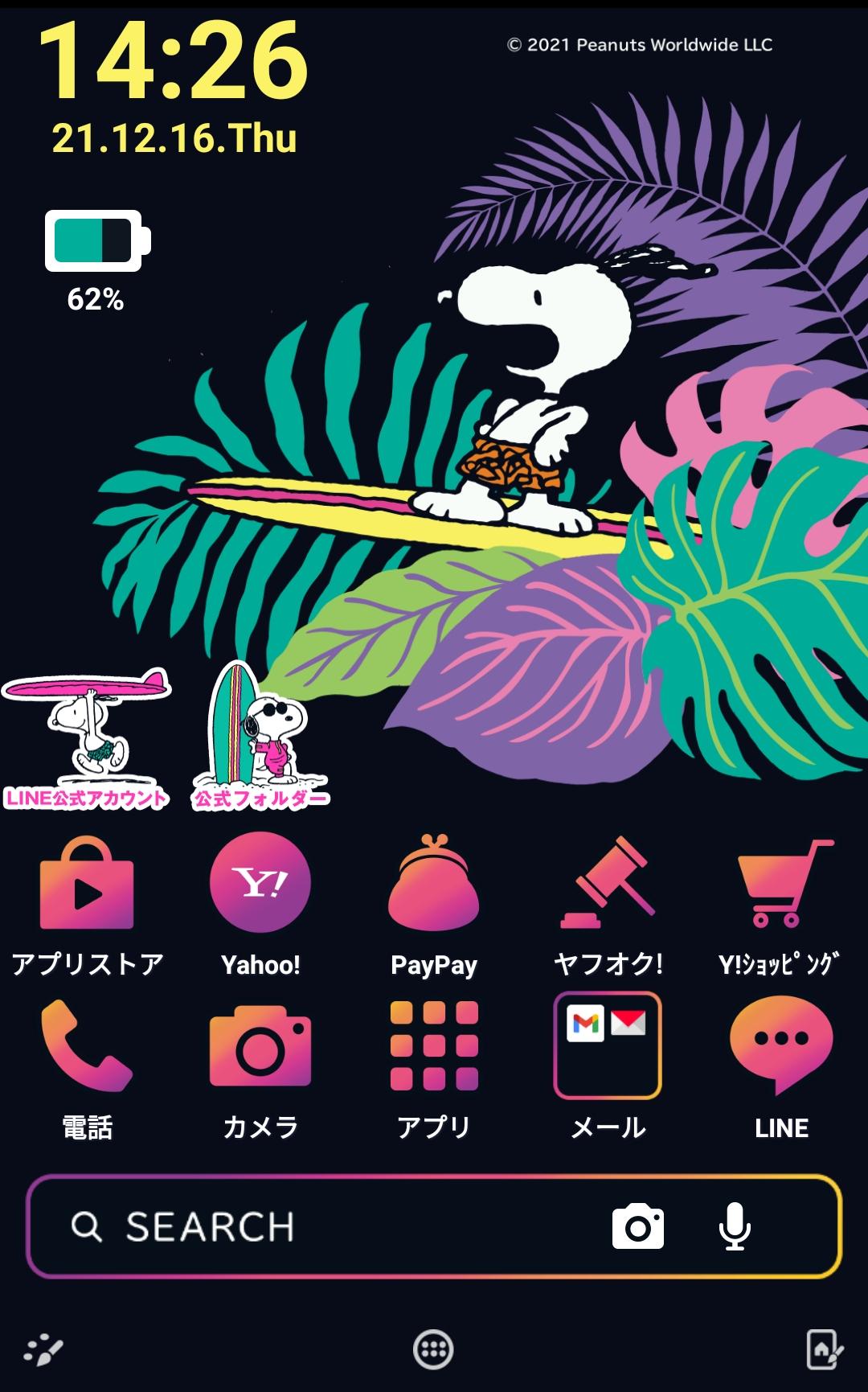 サーフィンスヌーピー