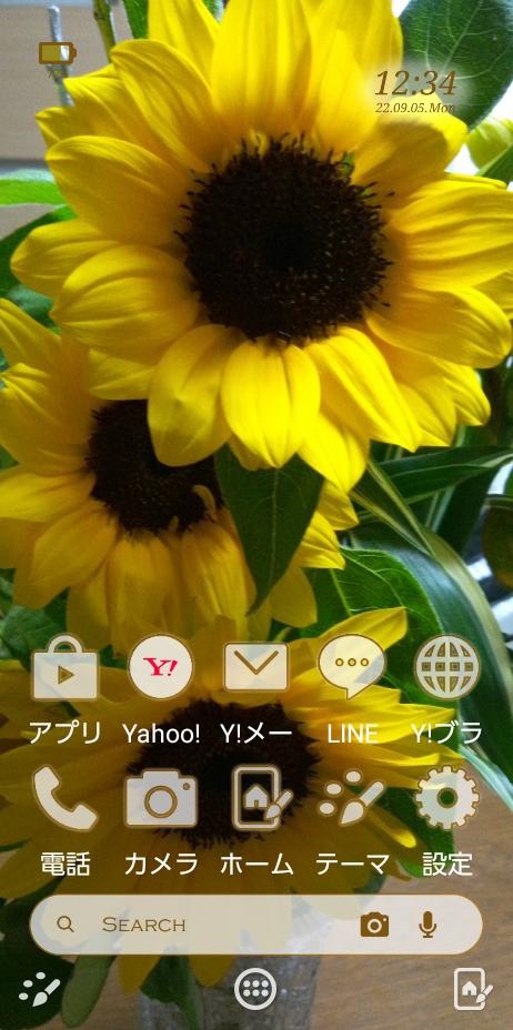 tokkoakimamaさんのテーマ