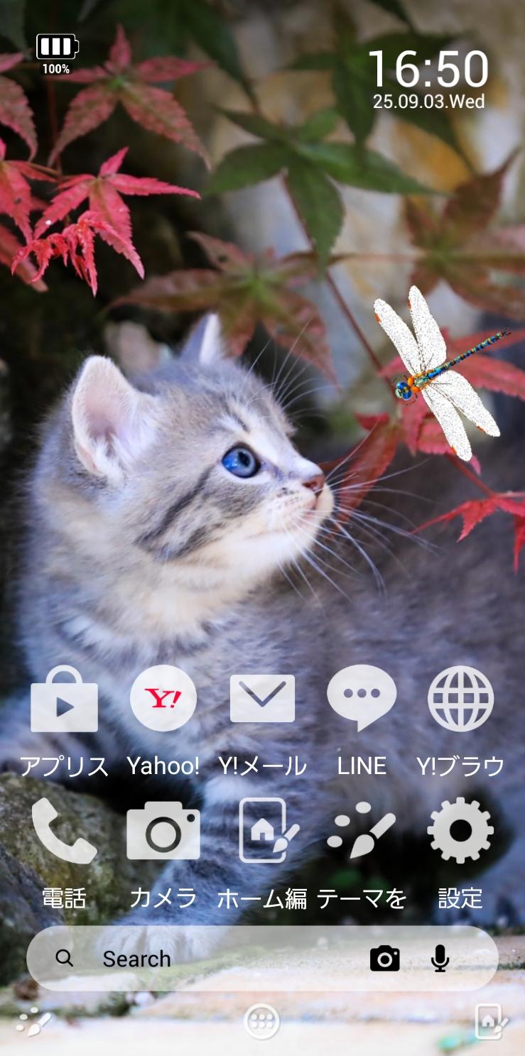 たびたびさんのテーマ