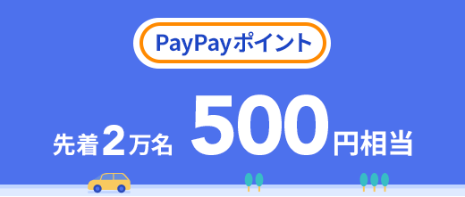PayPayポイント 先着2万名 500円相当