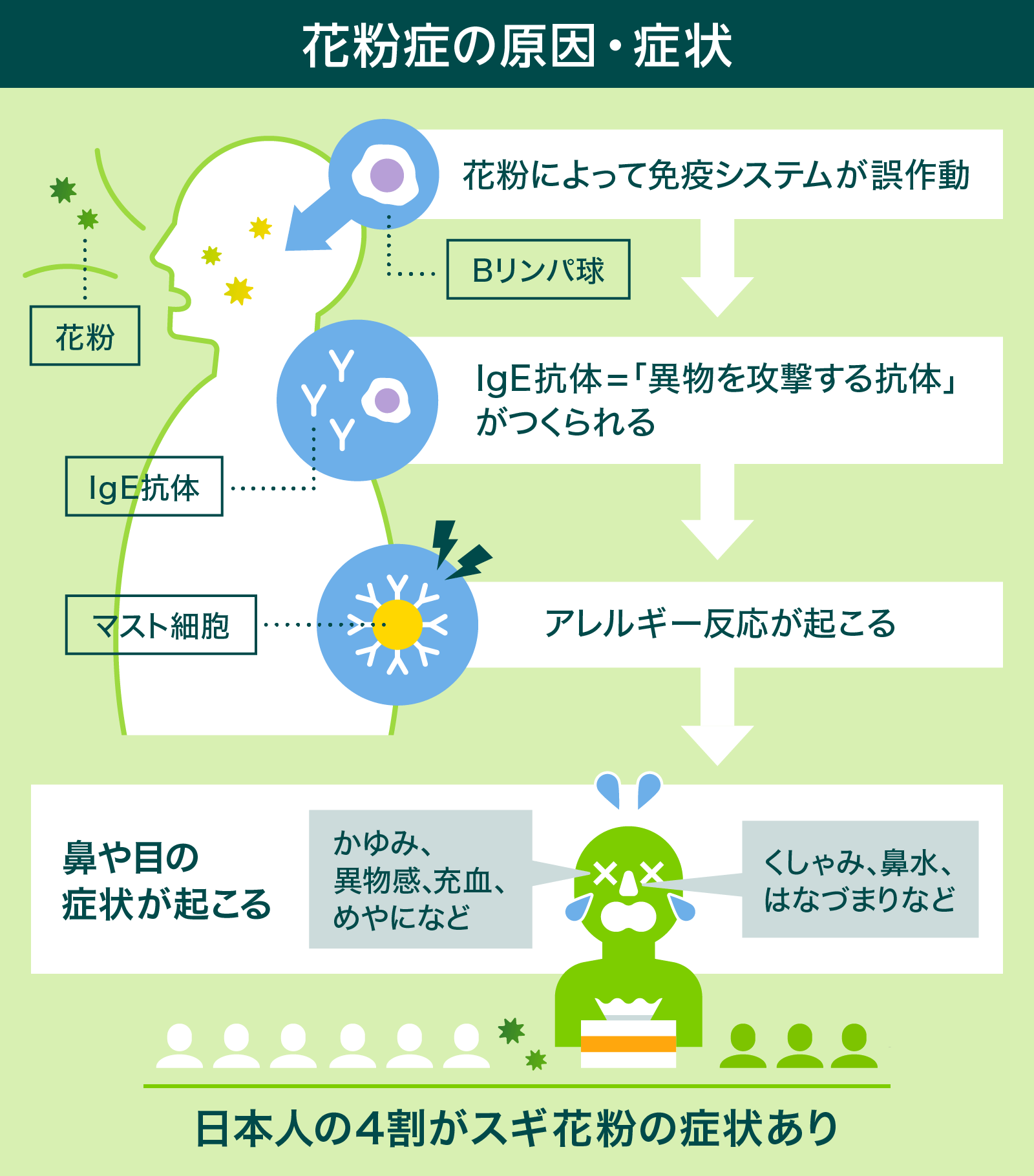 コロナ禍での花粉症対策をわかりやすく解説 Yahoo Japan