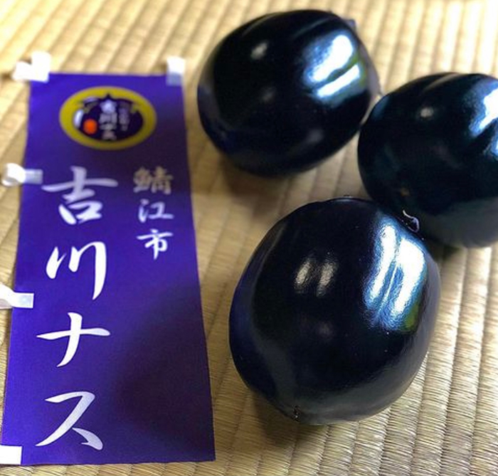 鯖江市の吉川ナス(写真:栗田さん提供)