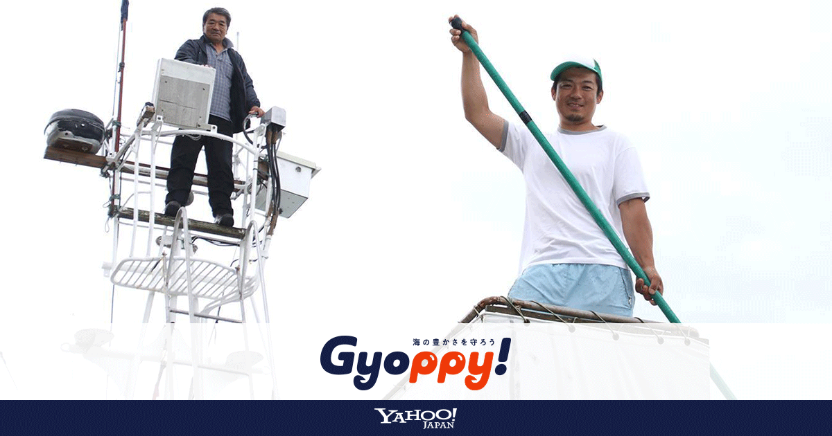 1匹万円のカジキをモリで突いて獲る 釣り好きには たまらない漁師の仕事 Gyoppy ギョッピー 海から 魚から ハッピーをつくるメディア Yahoo Japan