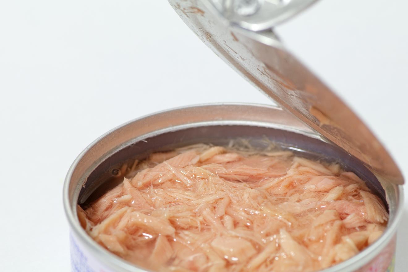 ツナってどんな魚のこと? 世界で大人気のツナ缶、その背景は?