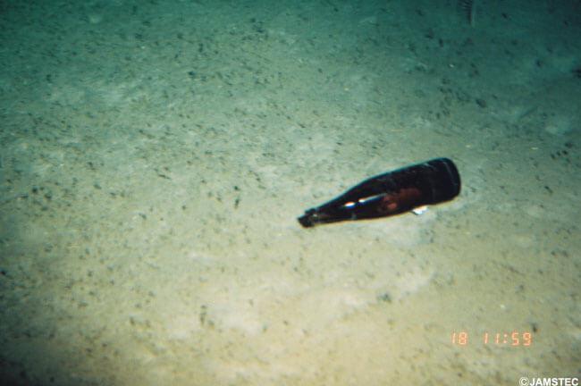 （C）JAMSTEC　ビール瓶 / 南海トラフ 遠州灘沖御前崎南方　潜航：1990/08/18　撮影：有人潜水調査船「しんかい6500」