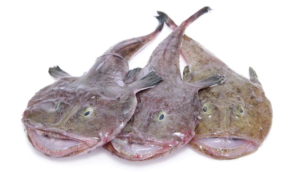 あんこうは江戸時代からの冬の珍味 しかも捨てるところがない魚 Gyoppy ギョッピー 海から 魚から ハッピーをつくるメディア Yahoo Japan