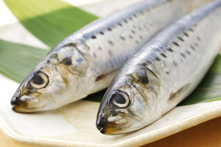 日本の魚の漁獲量は大きく減少。それは万国共通？