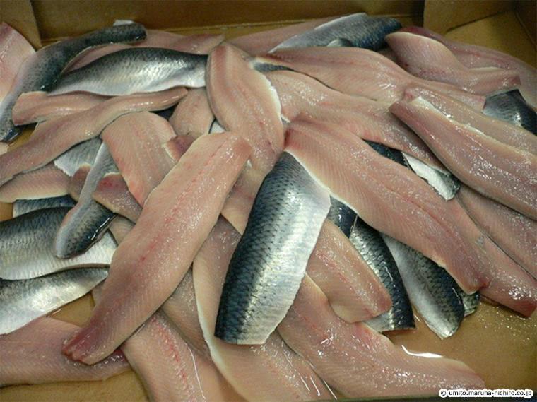骨まで愛される魚 ニシン Gyoppy ギョッピー 海から 魚から ハッピーをつくるメディア Yahoo Japan