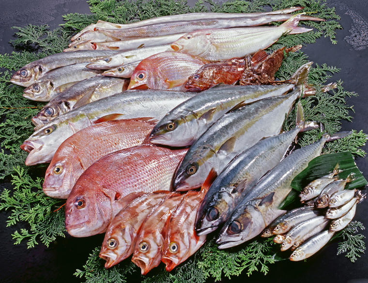 白身魚フライの 白身魚 の正体とは Yahoo Japan Sdgs 豊かな未来のきっかけを届ける
