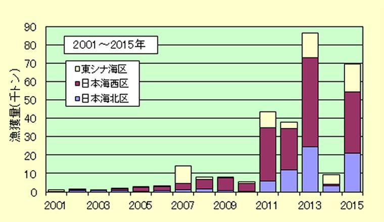 2001年から2015年の漁獲量推移